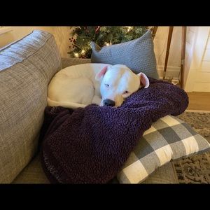 Meet your Posher, Marissa